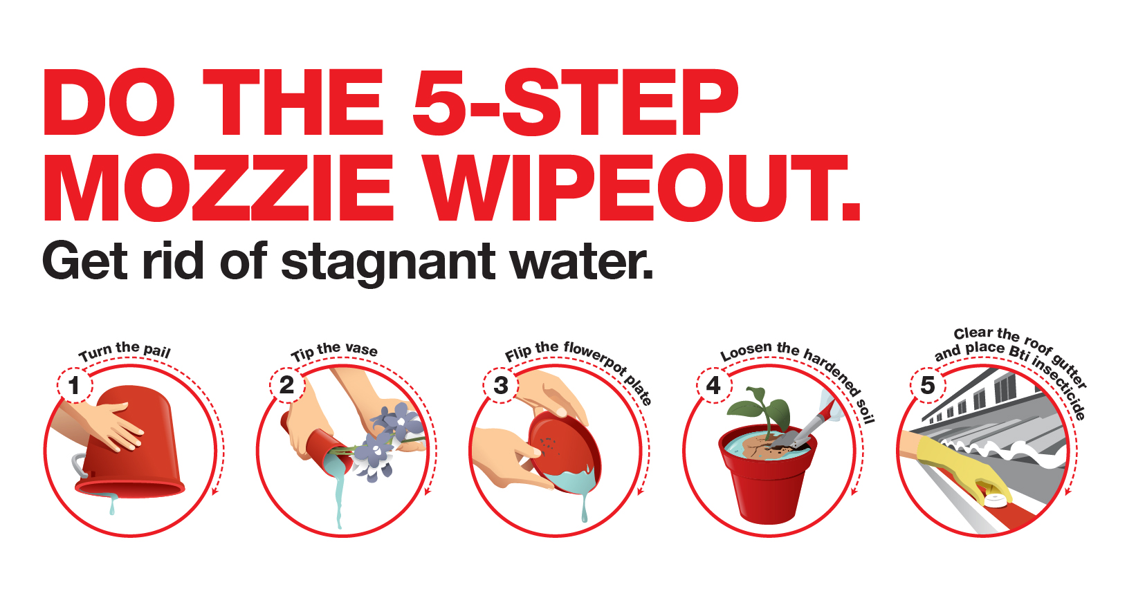 big banner of 5 steps to wipeout mosquito